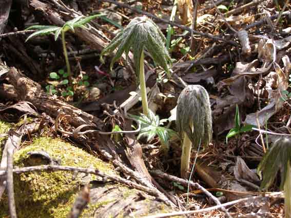 2007051402.jpg
